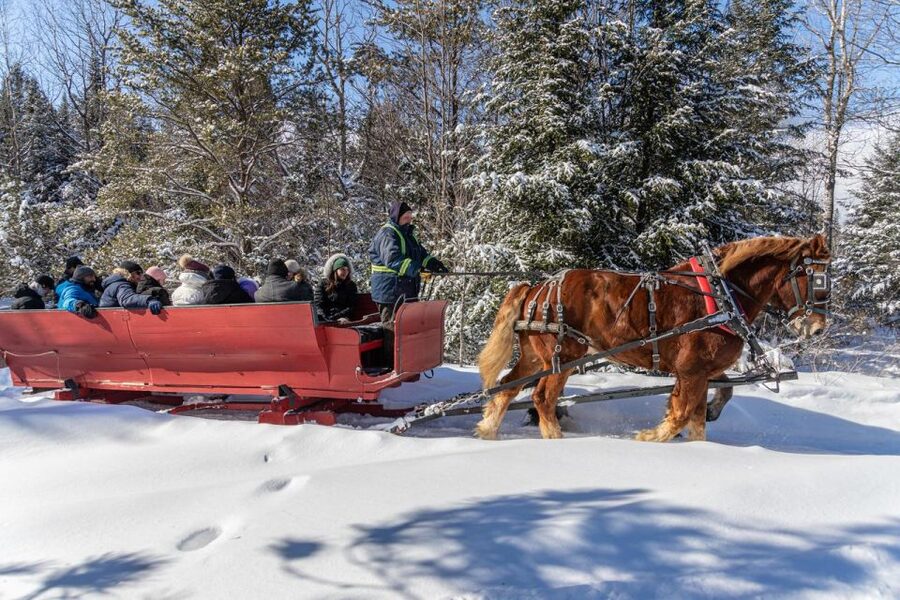 Mont-Tremblant: Sleigh Ride w/ Storytelling & Hot Chocolate - Local legends make the quiet ride more memorable