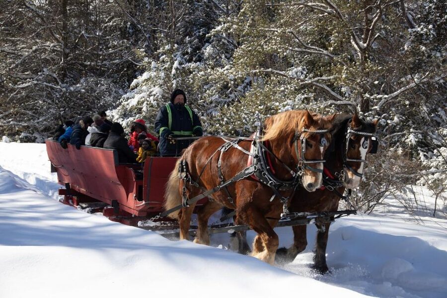 Mont-Tremblant: Sleigh Ride w/ Storytelling & Hot Chocolate - Hot chocolate and maple candy after the ride