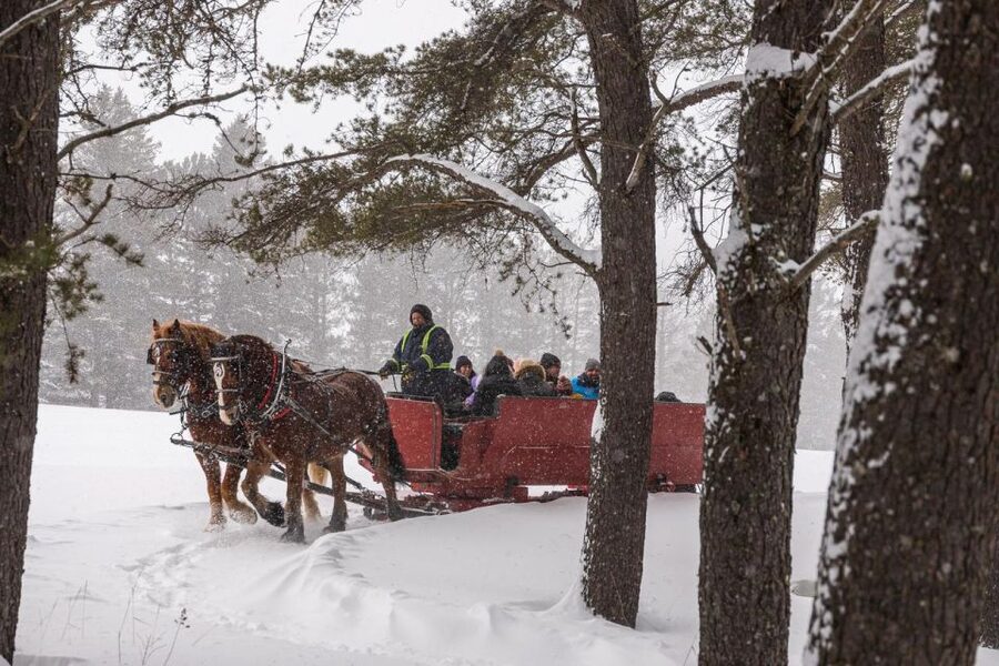 Mont-Tremblant: Sleigh Ride w/ Storytelling & Hot Chocolate - How the $44 price works for families