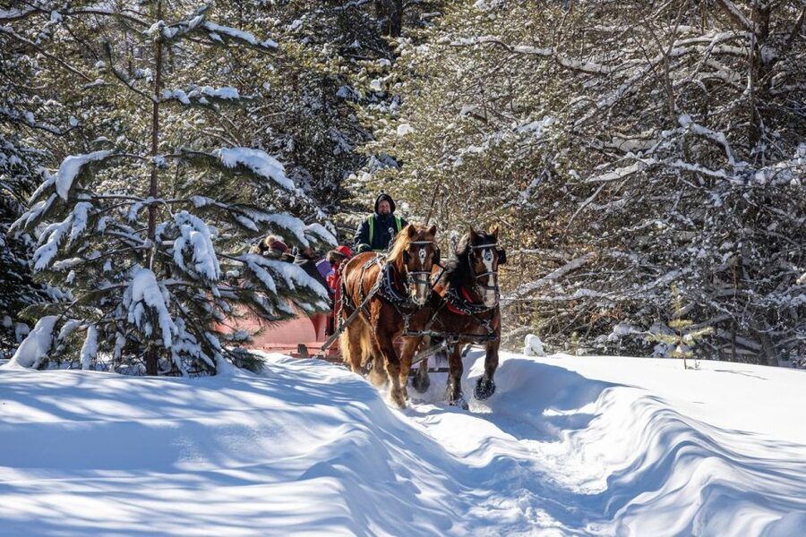 Mont-Tremblant: Sleigh Ride w/ Storytelling & Hot Chocolate - Fields first, then the Laurentian forest