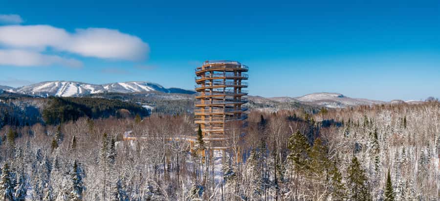 Mont-Tremblant: Treetop Observatory and Self-Guided Walk - Following the forest path to the treetops