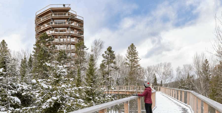 Mont-Tremblant: Treetop Observatory and Self-Guided Walk - What the self-guided format adds