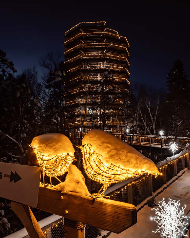 Mont-Tremblant: Treetop Observatory and Self-Guided Walk - Practical packing advice