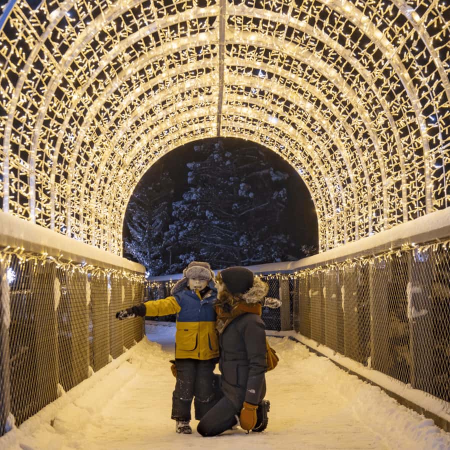 Mont-Tremblant: Treetop Observatory and Self-Guided Walk - Reaching the 40-meter observatory