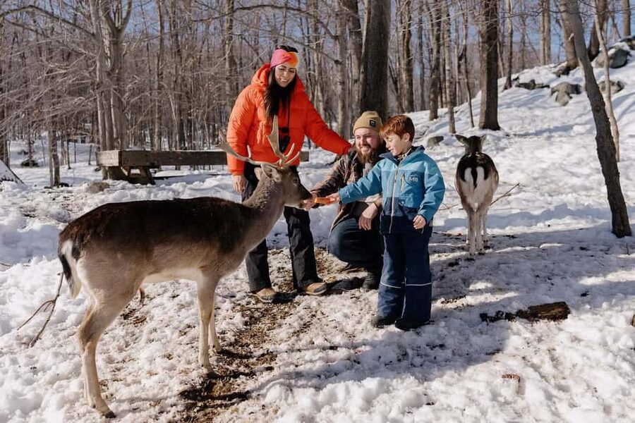 Montebello, QC: General Admission to Parc Omega - Watching Bears, Wolves, Bison, and Foxes