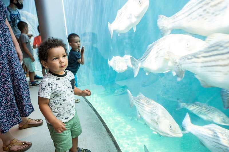 Montreal: 5 Attractions Pass - What makes the pass good value at $72