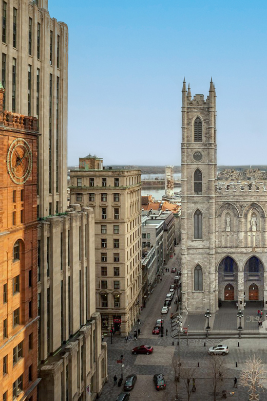 Montreal: AURA Experience at Notre-Dame Basilica and Cruise - Is $72 good value?