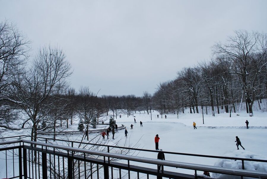 Montreal: Full-Day Small Group City Tour - Old Montreal, Notre-Dame, and time to explore