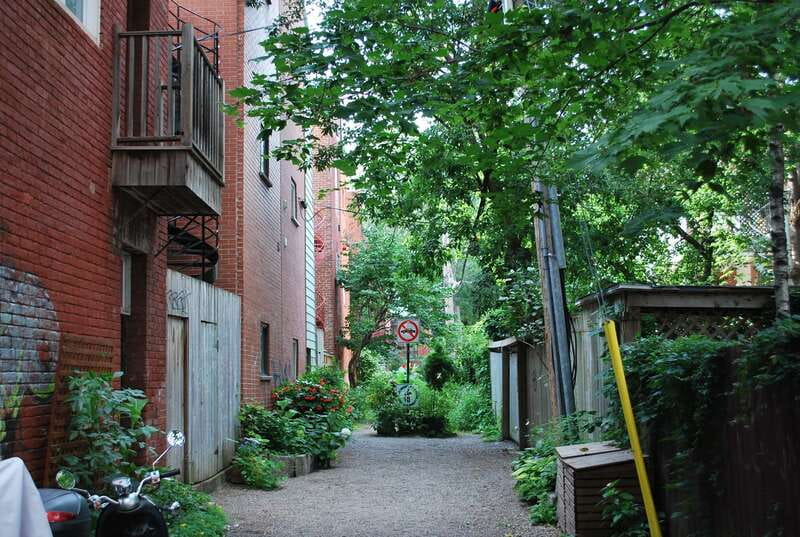 Montreal: Full-Day Small Group City Tour - Mount Royal delivers the scenic finish