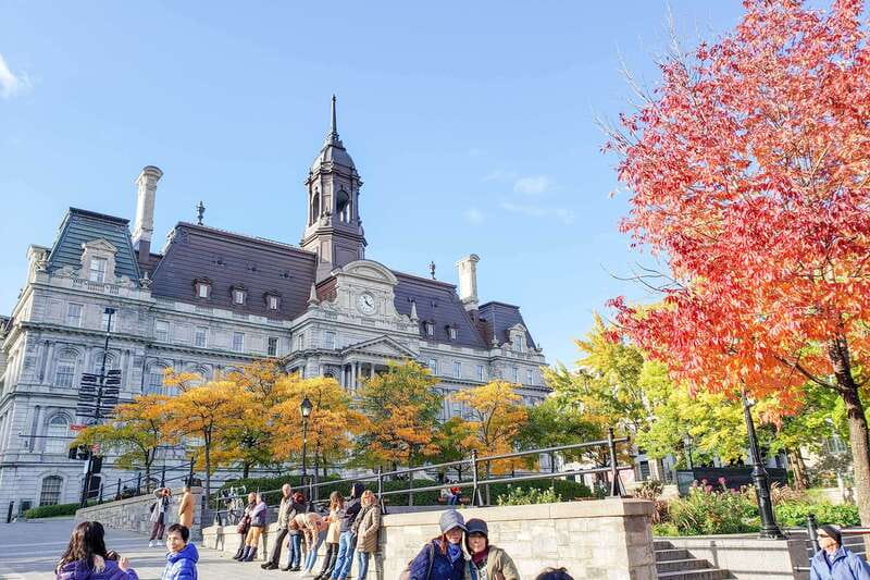 Montreal: Guided Bus Tour - McGill and the University of Montreal