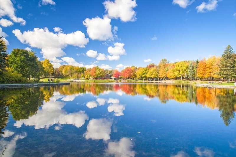 Montreal: Guided Bus Tour - What the Ride Is Like in Real Use