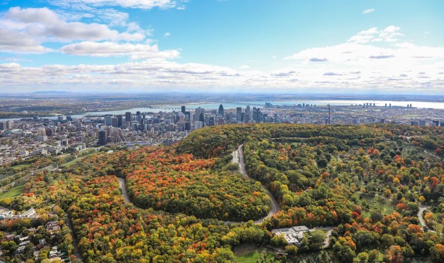 Montreal: Guided Helicopter Tour - Friendly crews and a reassuring first flight