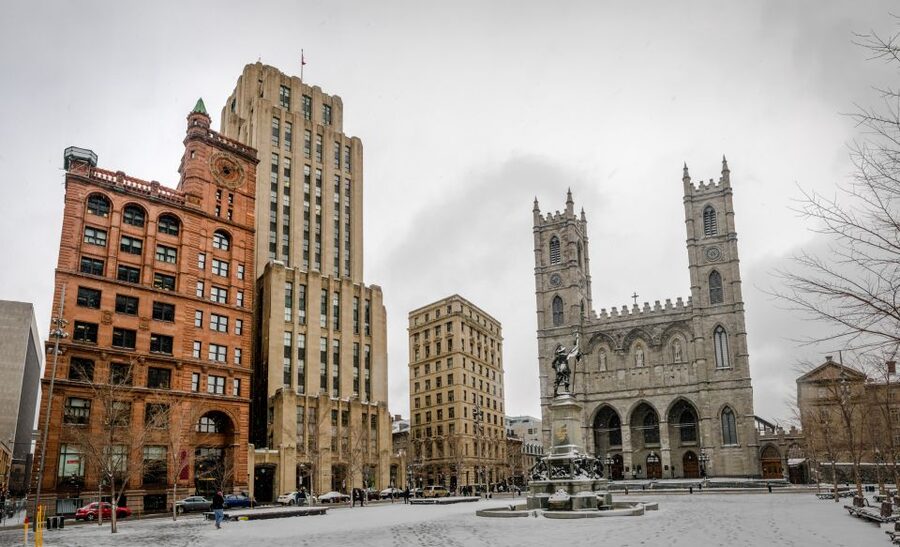Montreal: Half-Day City Tour - Why the guides matter