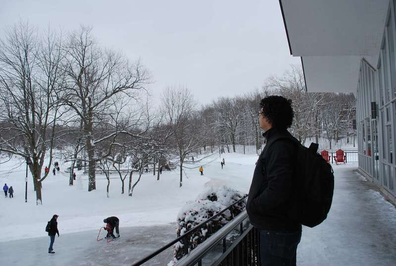 Montreal: Half-Day City Tour - Transport, pace, and the value of $98