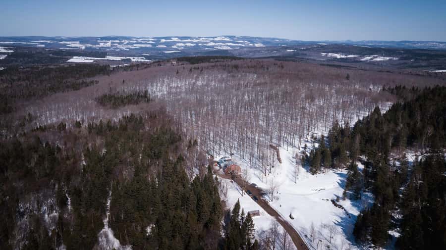 Montréal: Maple Syrup Tasting Conference! - How much value do you get for $22?