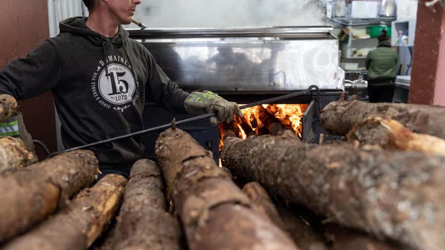 Montréal: Maple Syrup Tasting Conference! - The host makes the difference
