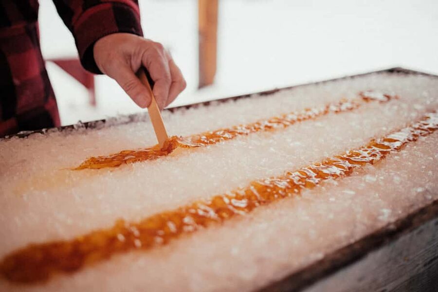Montreal: Maple Syrup Tour with Sugar Shack & Local Cuisine - Seeing how maple sap becomes syrup