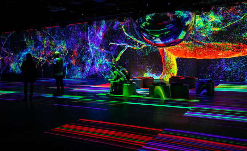 Montreal: OASIS Immersion Entry Ticket - Root for Nature brings the outdoors indoors