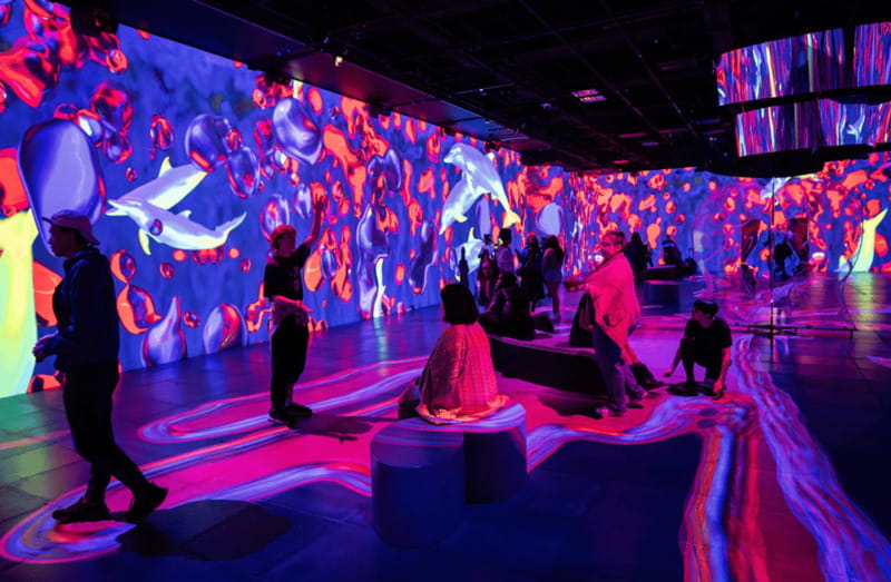 Montreal: OASIS Immersion Entry Ticket - How to plan your visit inside Palais des Congrès