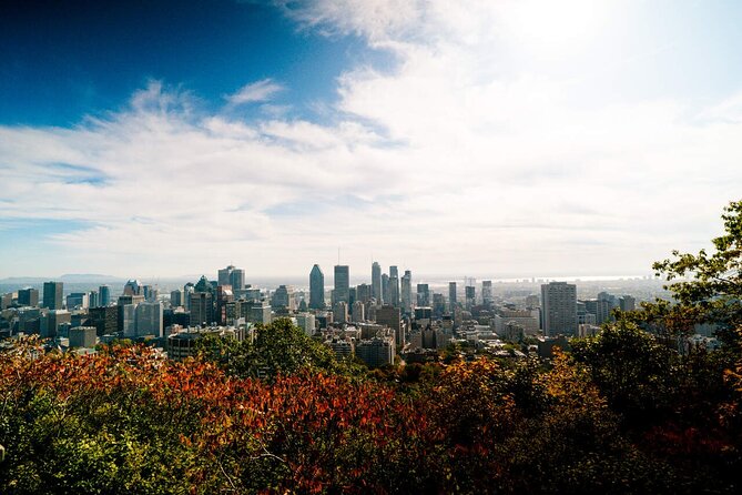 Montreal Premium Driving Tour with River Cruise and Notre Dame - What the $127.68 price really buys