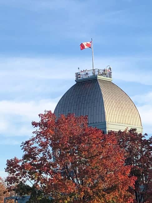 Montreal: Private Walking Tour with a Local - Who should book this Montreal tour?