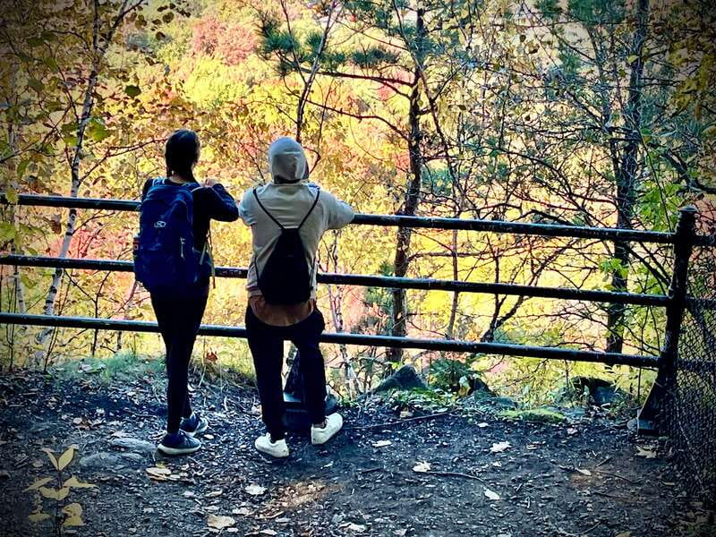 Montreal's Mount Royal Tour - Who should book this Mount Royal walk