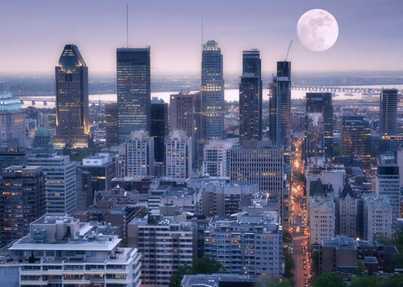 Montreal: Small Group Night Tour with La Grande Roue Entry - The extra local stops can be the best surprise