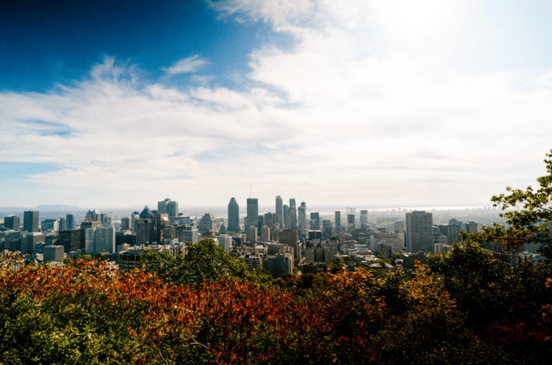 Montreal: Small Group Tour with River Cruise and Notre Dame - The St. Lawrence River cruise changes with the season