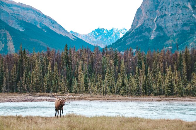 Moraine Lake, Lake Louise & Banff Secrets | Award-Winning Tour - The flexible route is more than a marketing line