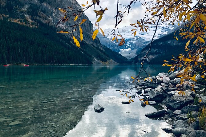 Moraine Lake & Lake Louise Sunset & Wildlife Adventure - The Bow Valley Parkway after dark