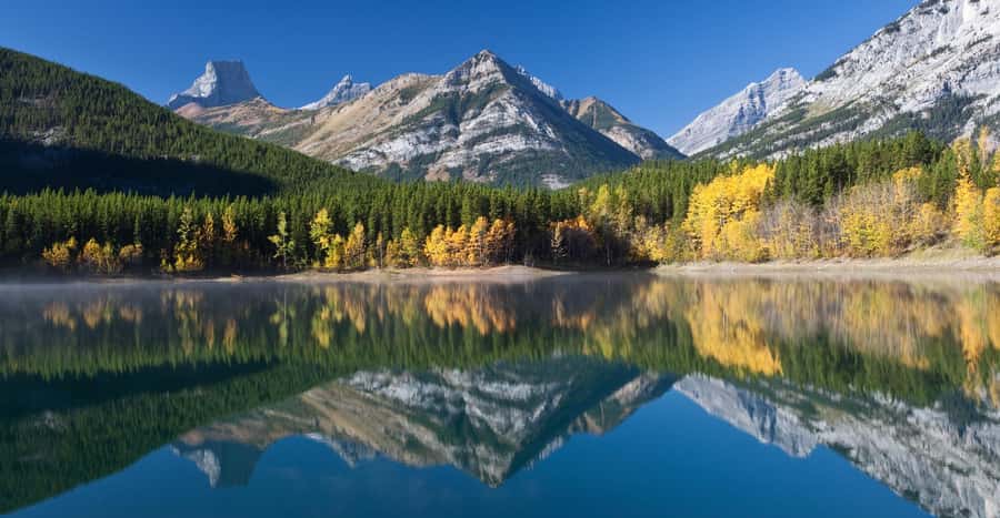 Moraine Lake Louise Emerald Johnston Canyon Banff Yoho Tour - Guides make a real difference