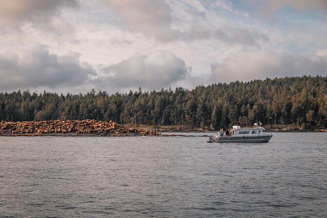 Nanaimo Whale Watching in a Semi-Covered Boat - Is $187.76 a fair price?