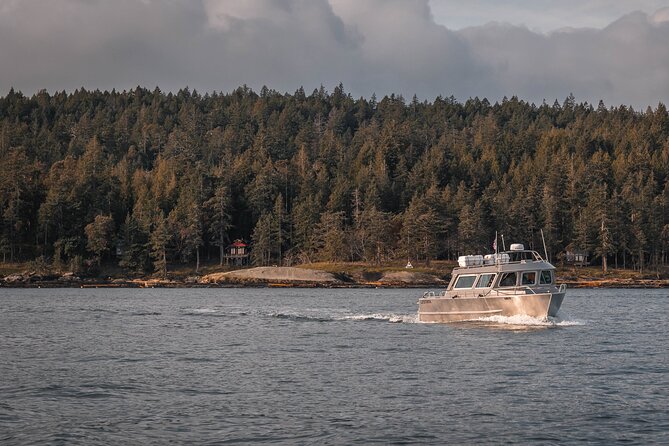 Nanaimo Whale Watching in a Semi-Covered Boat - Cruising the Salish Sea and Gulf Islands