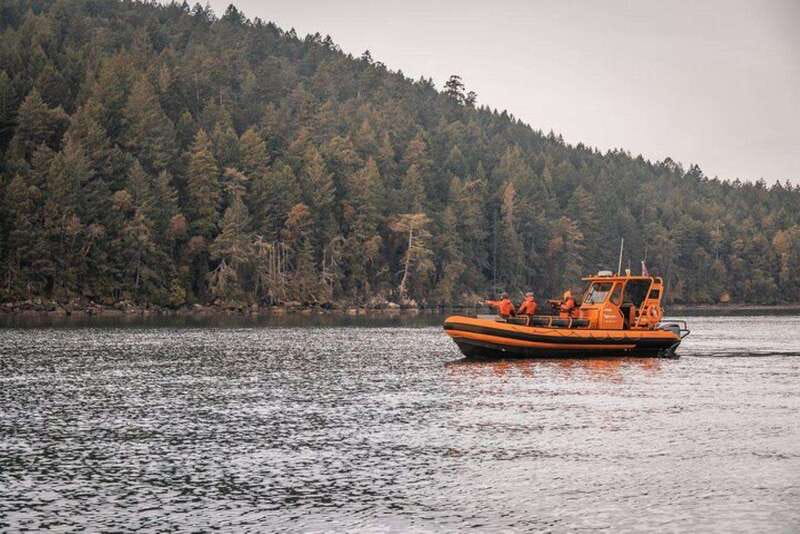 Nanaimo: Whale Watching Open Boat Tour - Starting at Nanaimo’s Front Street seawall