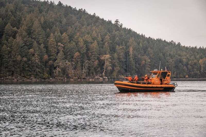 Nanaimo: Whale Watching Open Boat Tour - Is $182 a fair price?