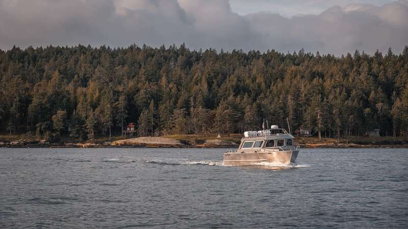 Nanaimo: Whale Watching Semi-Covered Boat Tour - Key points to know before booking