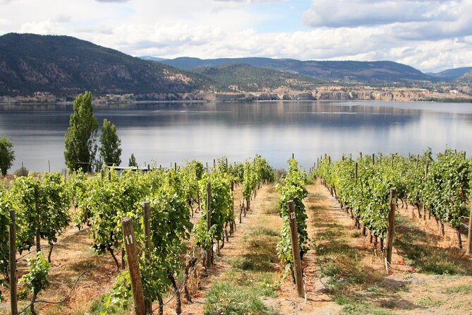 Naramata Private Wine Tour - Full Day - A Private Introduction to the Naramata Bench