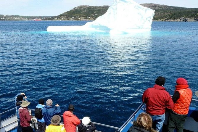 Newfoundland Puffin and Whale Watch Cruise - From St. John’s to Bay Bulls in about 25 minutes