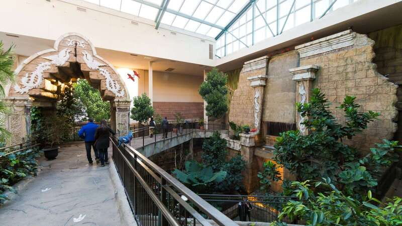 Niagara Falls, Canada: Bird Kingdom Entry Ticket - The multi-level rainforest and free-flying birds