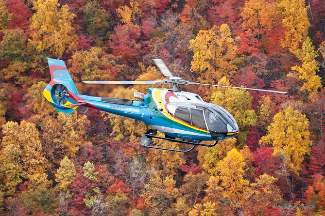 Niagara Falls Canada Helicopter Tour - What the View Feels Like From the Cabin