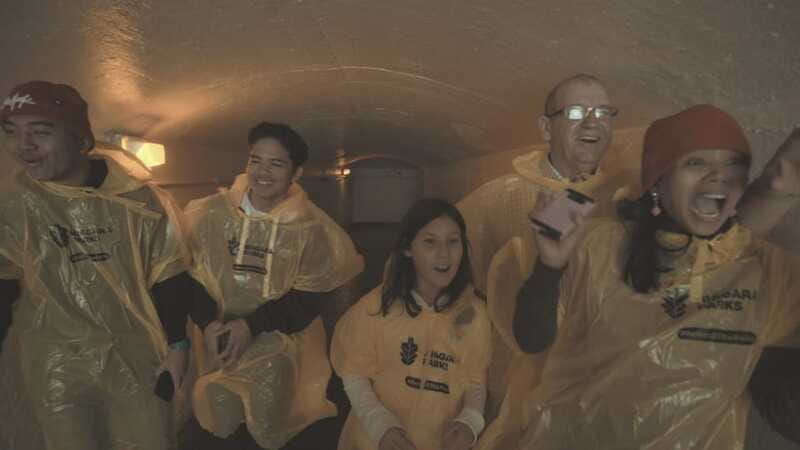 Niagara Falls: Day & Night Tour with Boat Ride and Dinner - What the $267 cost really covers