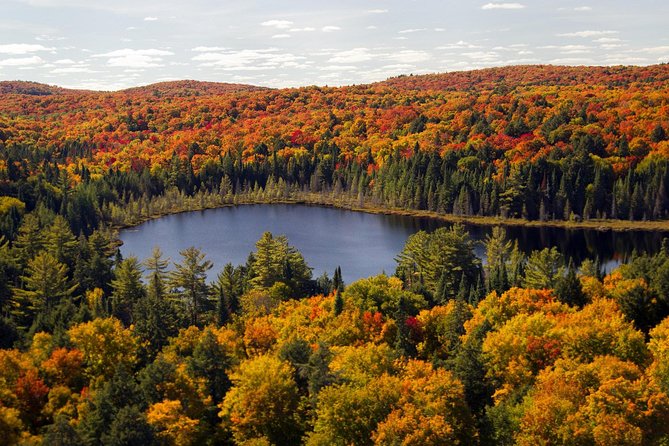 Niagara Falls Sightseeing Day Tour from Toronto with Boat Cruise - Niagara-on-the-Lake in one hour