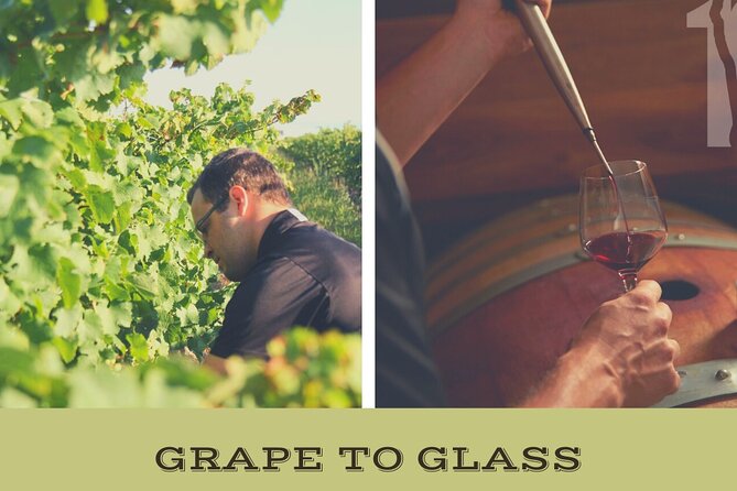 Niagara-on-the-Lake Grape to Glass Wine Experience - Key points at a glance