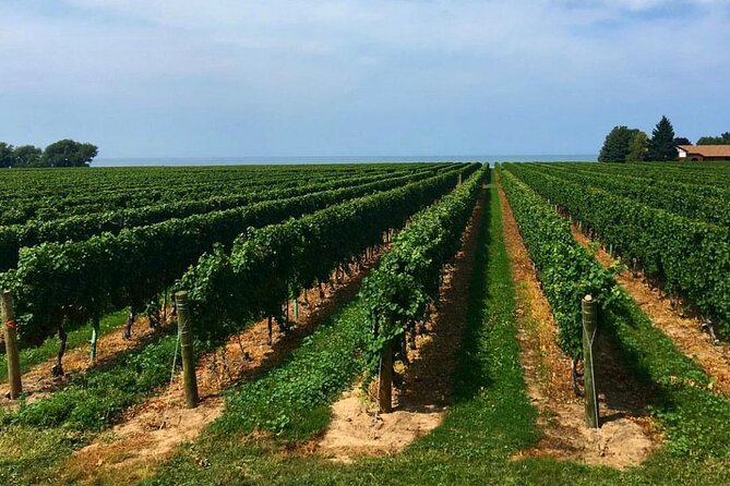 Niagara-On-The-Lake Guided Wine and Charcuterie Full-Day Tour - Who will enjoy this half-day wine tour