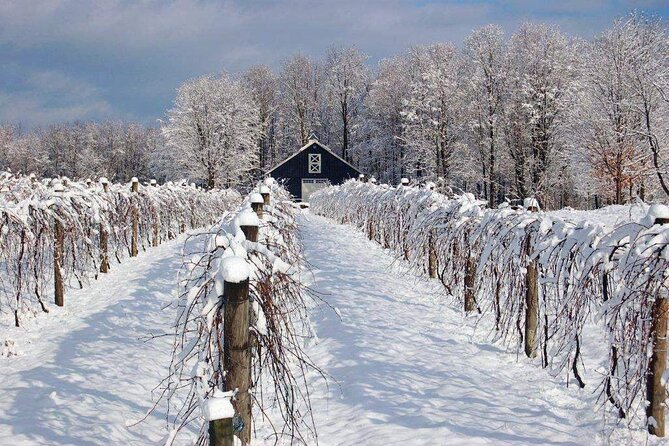 Niagara Wine Tour and Tastings with Transportation - The Farmhouse Cafe lunch break