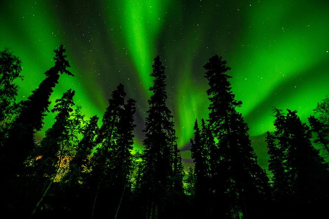Northern Lights Tours - Stop one: heading beyond town for darker skies
