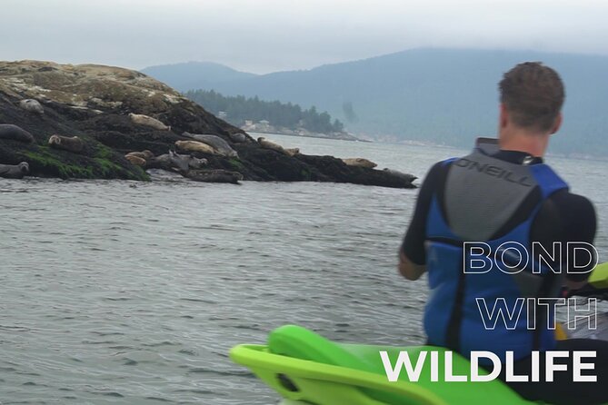 Ocean is Yours Seadoo Experience from Vancouver - Who will enjoy this Sea-Doo outing?