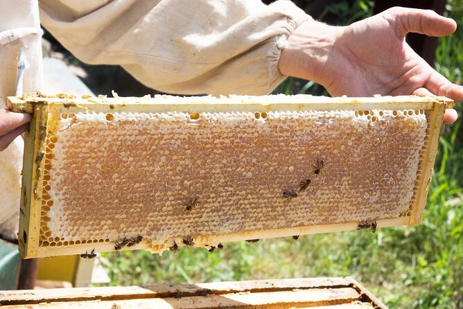 Okanagan Bee Tour and Lunch at Winery in Kelowna - Honey Wine: A Different Okanagan Tasting
