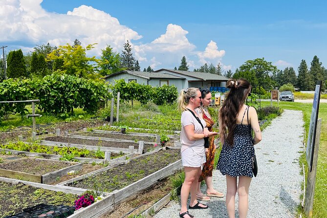 Okanagan Bee Tour and Lunch at Winery in Kelowna - The Food Makes the Bee Story Feel Real