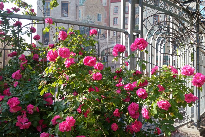 Old Quebec City Private Walking Tour : History and Nature - The Old Port and the St. Lawrence connection